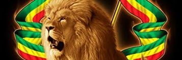 Phillveiga's profile banner image