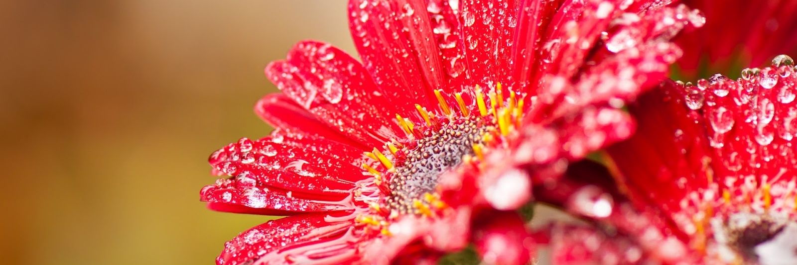 Krmn3828696's profile banner image
