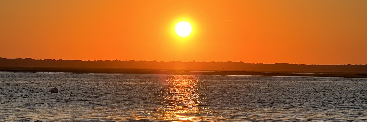 dhburce's profile banner image