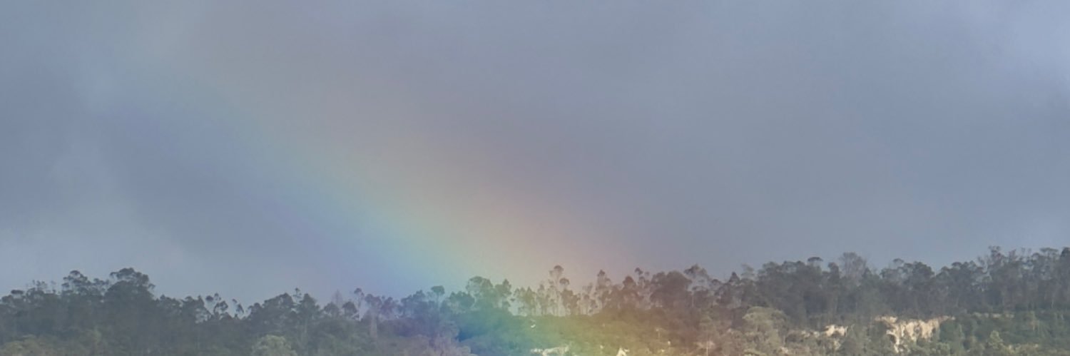 diegoacostaco's profile banner image