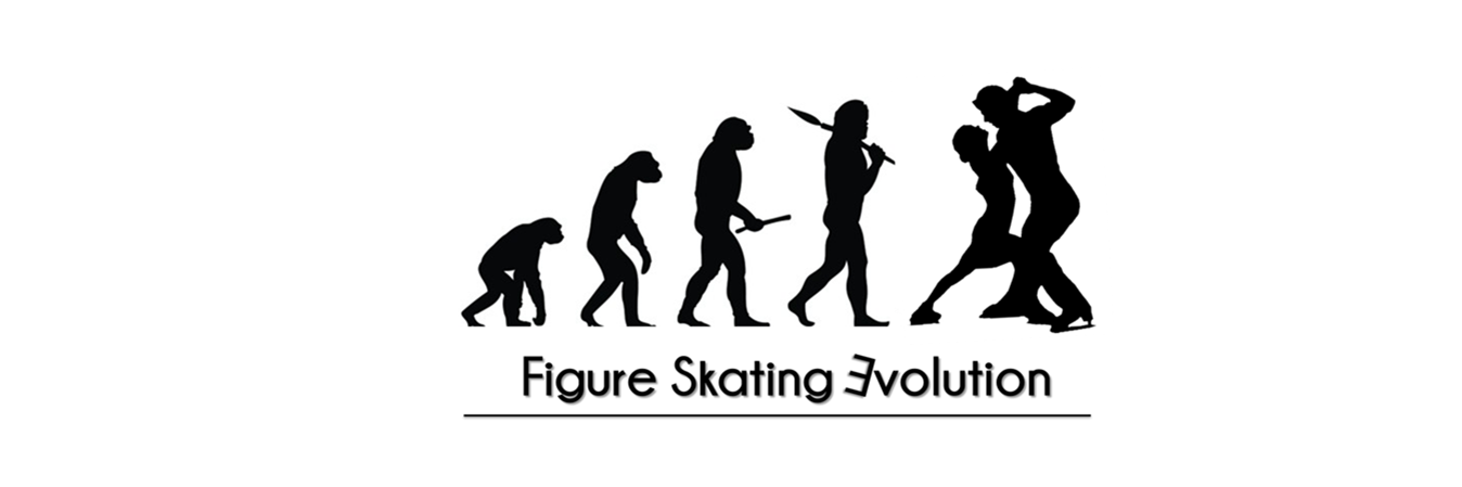 FSEvolution banner