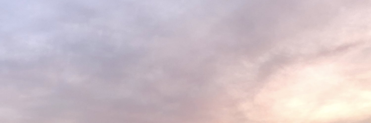 lauranicholasx's profile banner image