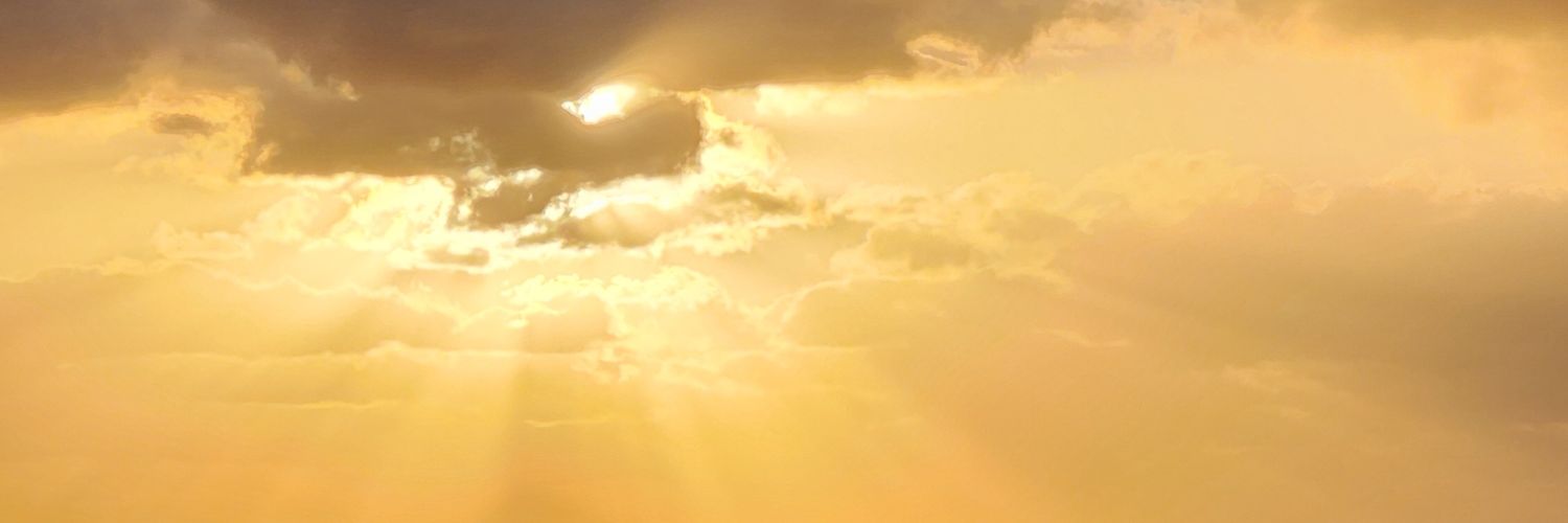 australprince's profile banner image