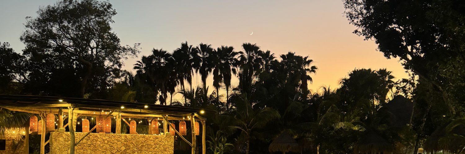 nv120500's profile banner image