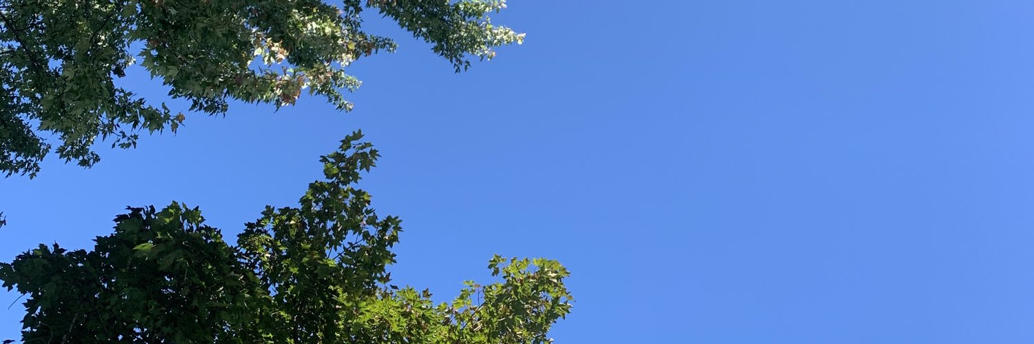 kayynic_'s profile banner image