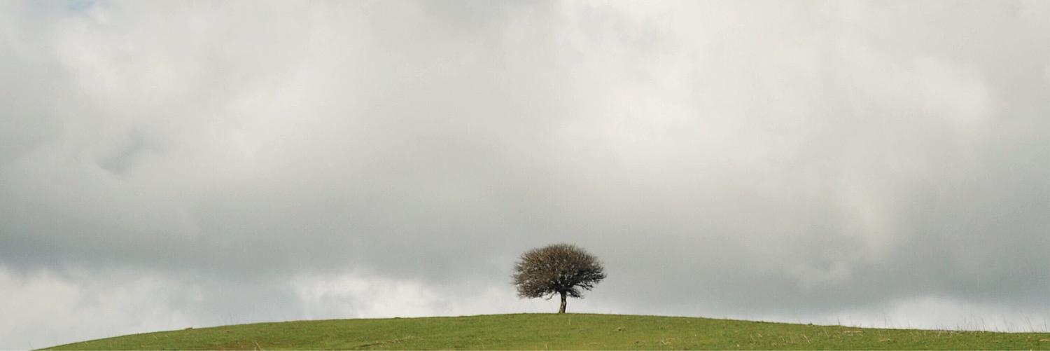 PrunoConti's profile banner image