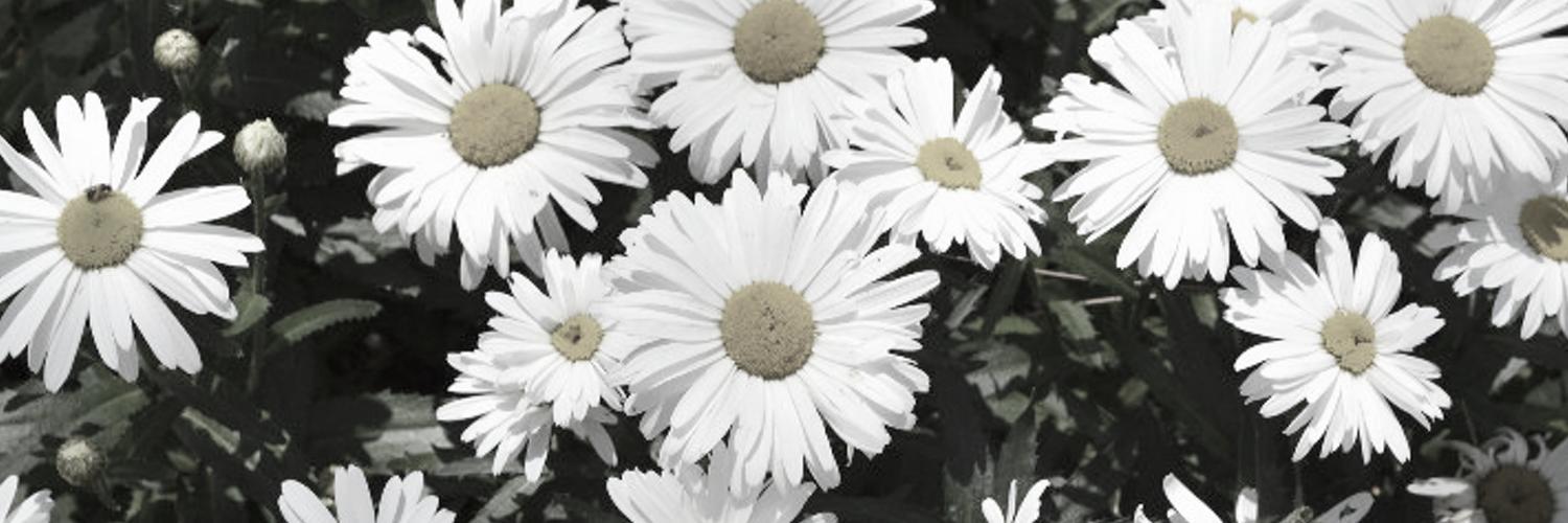 IngridGaymard's profile banner image