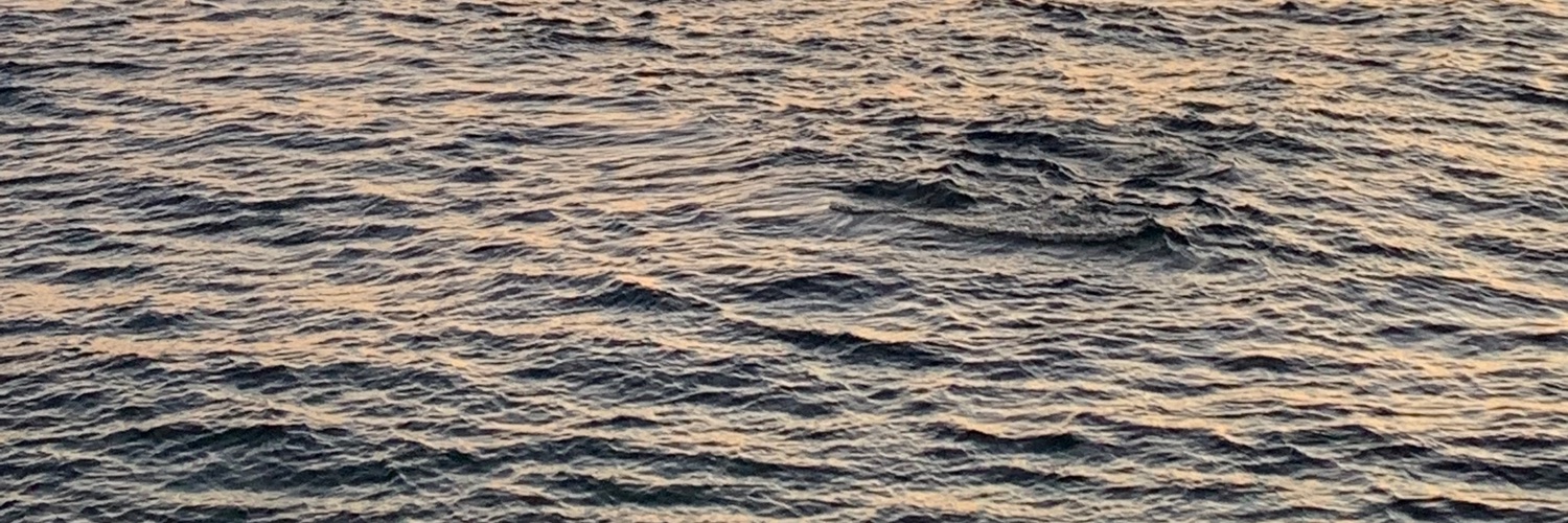beatrizmanaio's profile banner image