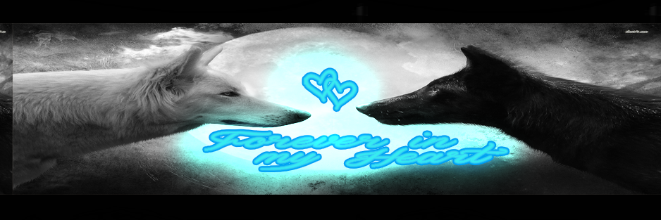 RaulScrem's profile banner image