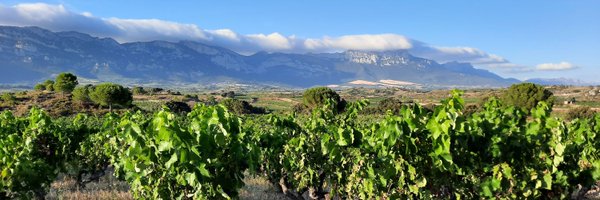 Gzubi4 Profile Banner