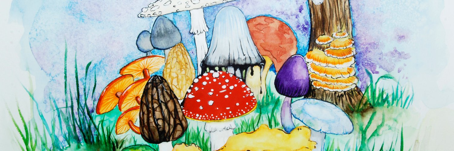 DanaNDesign's profile banner image