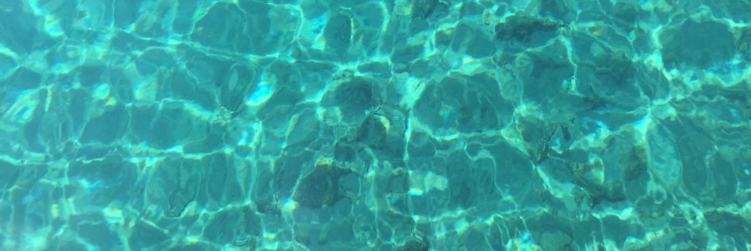 aricotweet's profile banner image