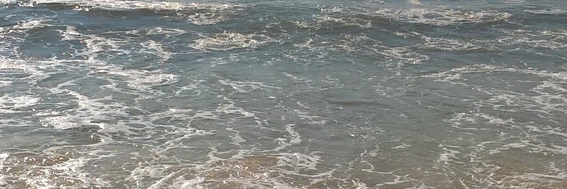 tmlcardoso's profile banner image