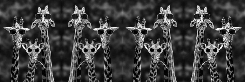 jenncolombo's profile banner image