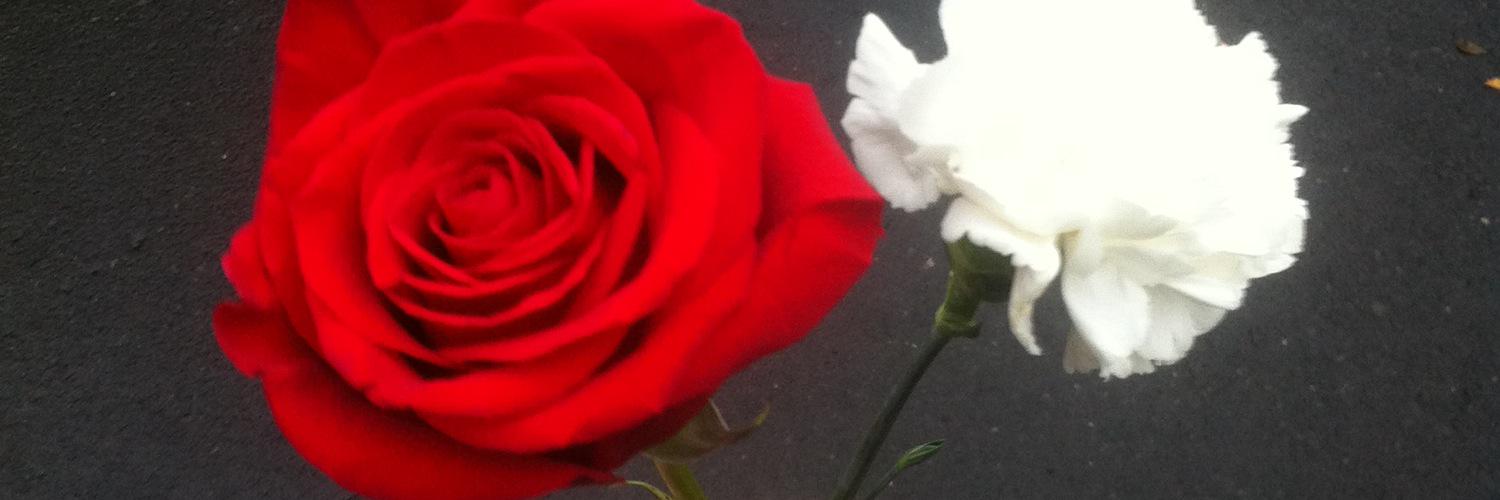 MariaArmas8's profile banner image
