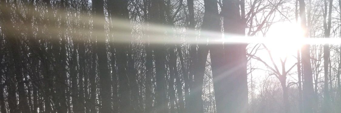 gilldawnm's profile banner image