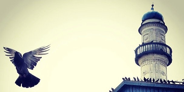 AlMoona_66's profile banner image