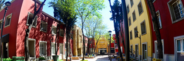 PiropoITAM Profile Banner