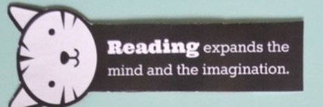 stlawrencesy4's profile banner image