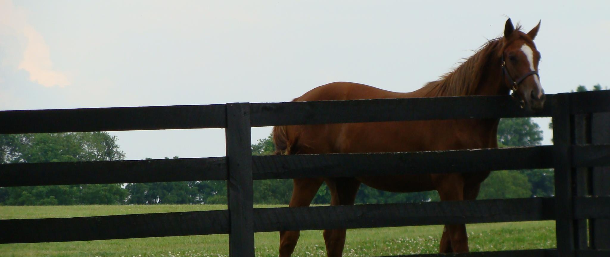 NancyBishop4's profile banner image