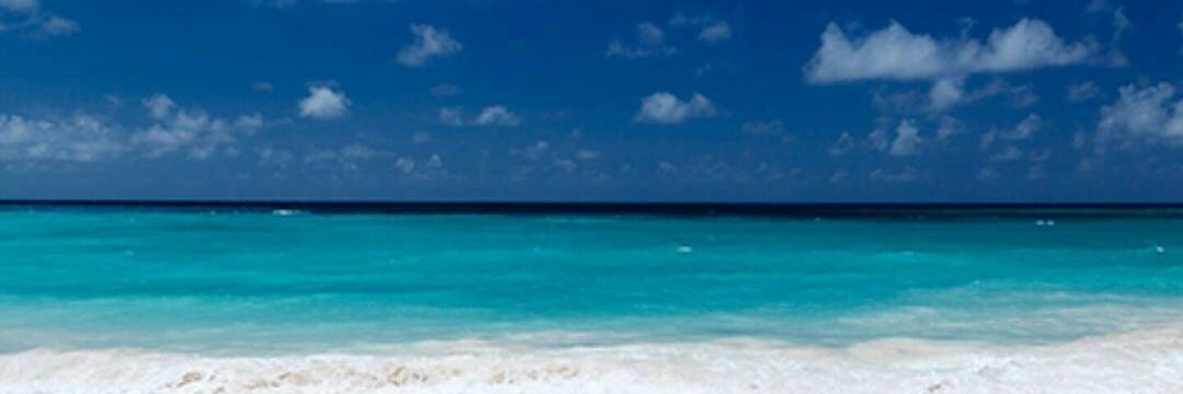 walyom's profile banner image