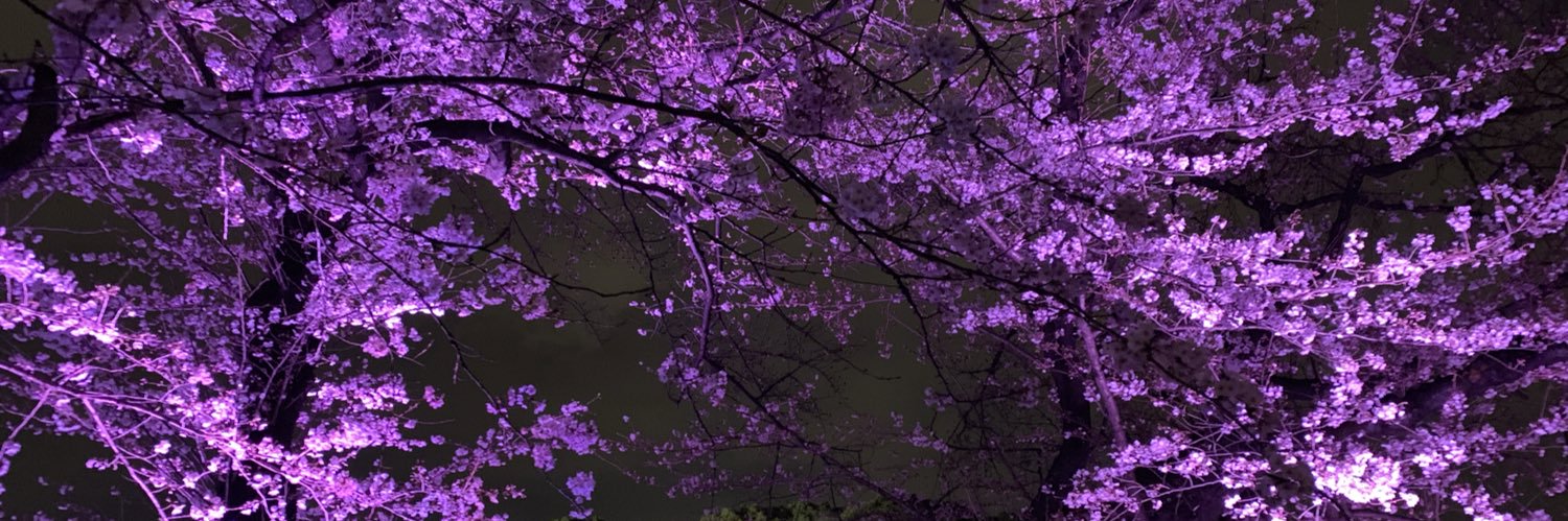 Addition_quince's profile banner image