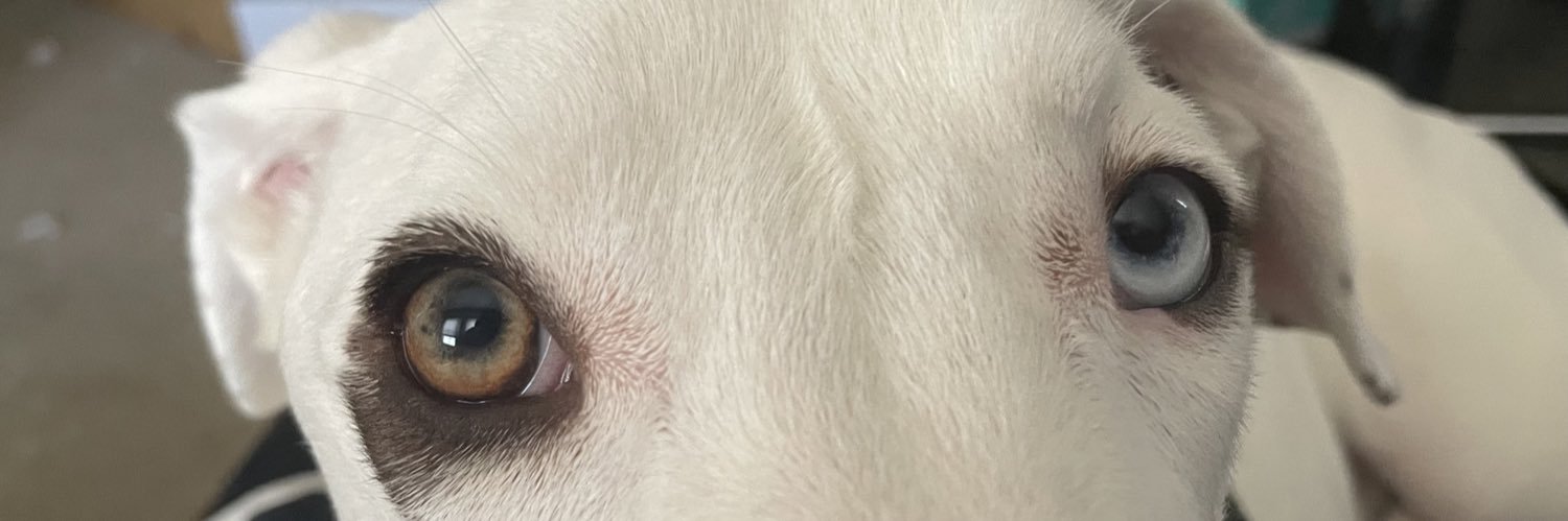 mandimewhitney's profile banner image