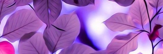 Sabrina_Satira's profile banner image