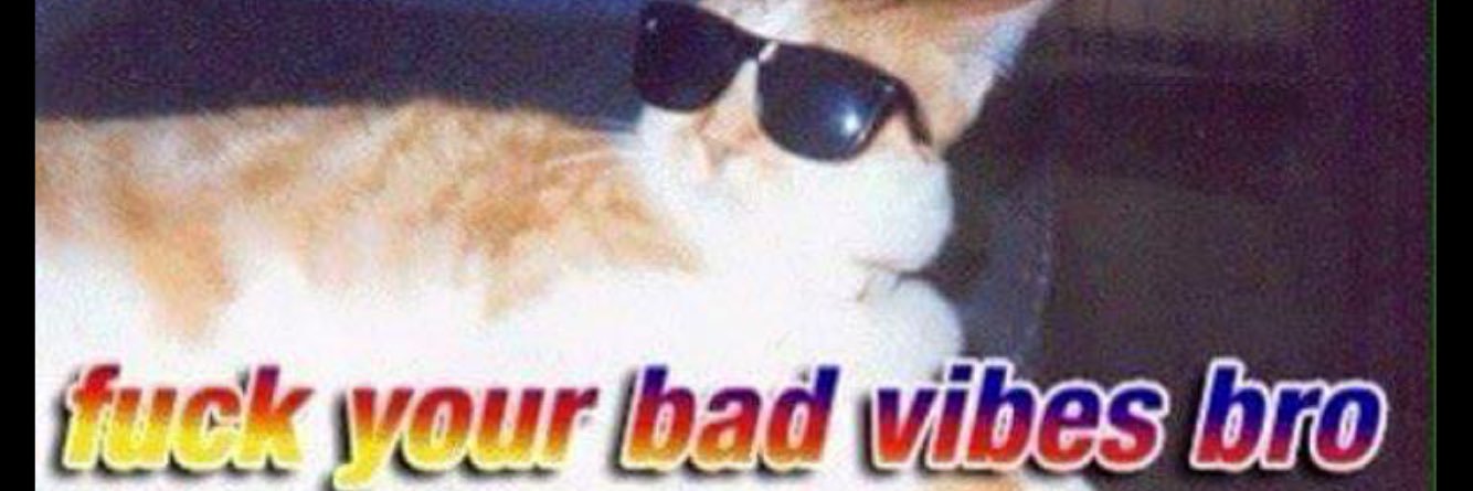 notchinnn's profile banner image