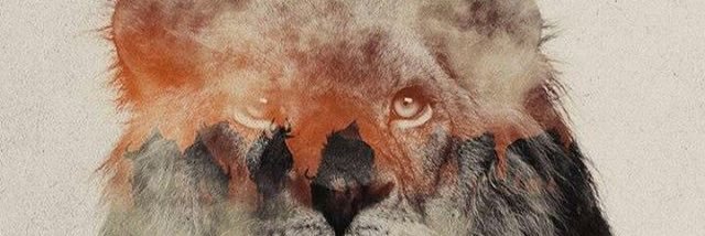 efebegendi's profile banner image