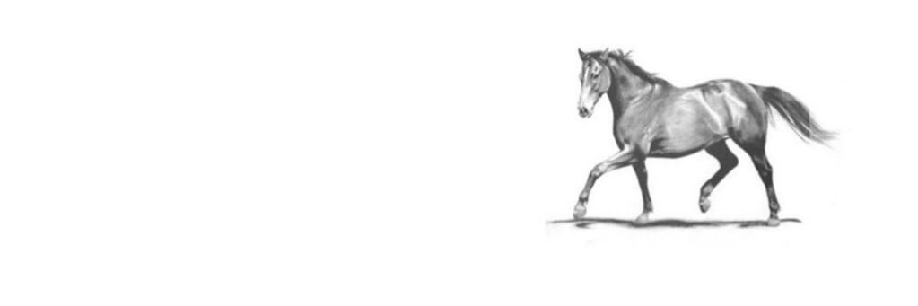 R__ob125's profile banner image