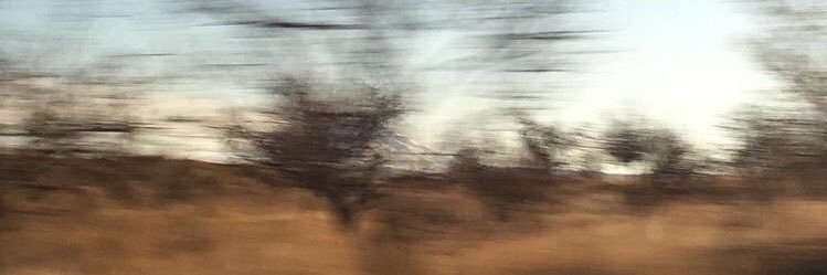 ssevvalkoca's profile banner image