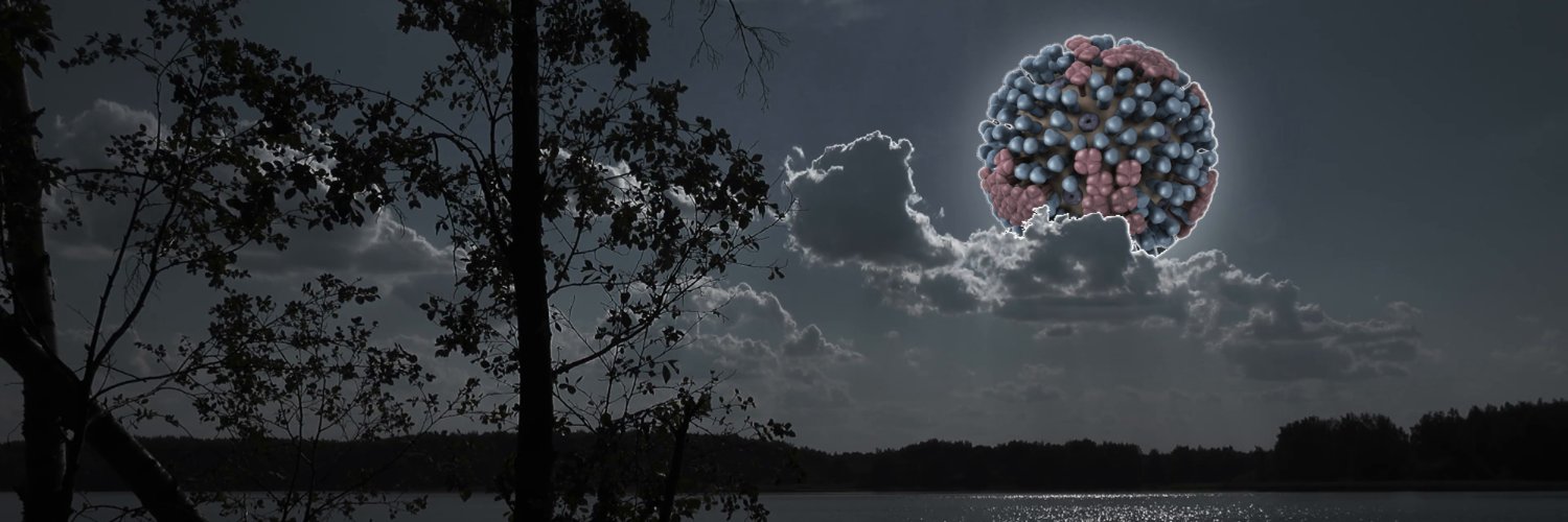 L3vironaute's profile banner image