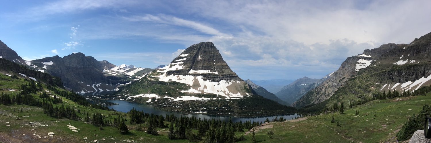 Laura McAulay banner