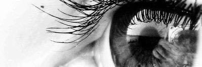 Dawn M Monaghan banner