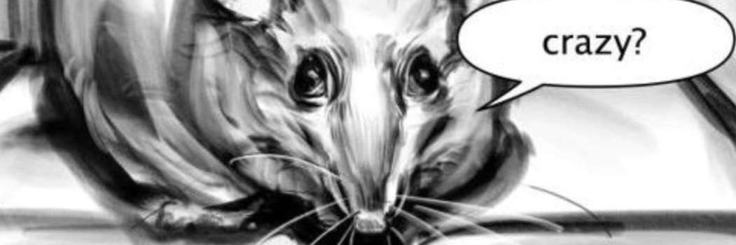 kikromancer's profile banner image
