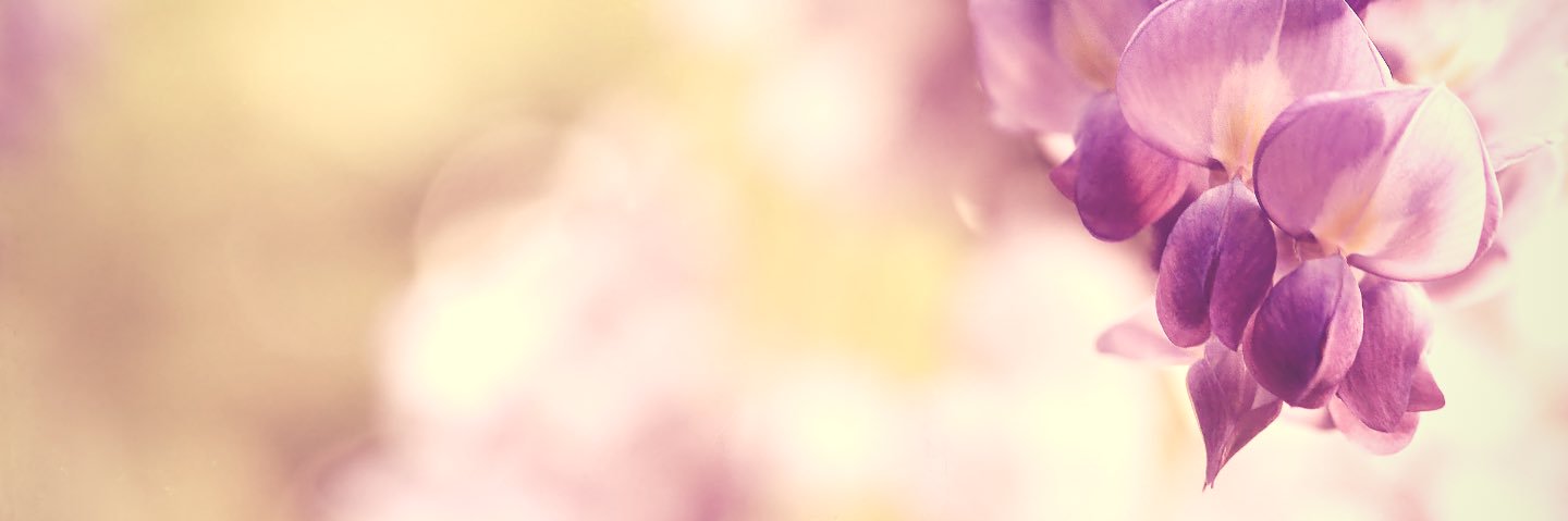 tornepages's profile banner image