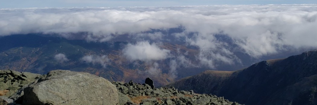 felipee_frf's profile banner image