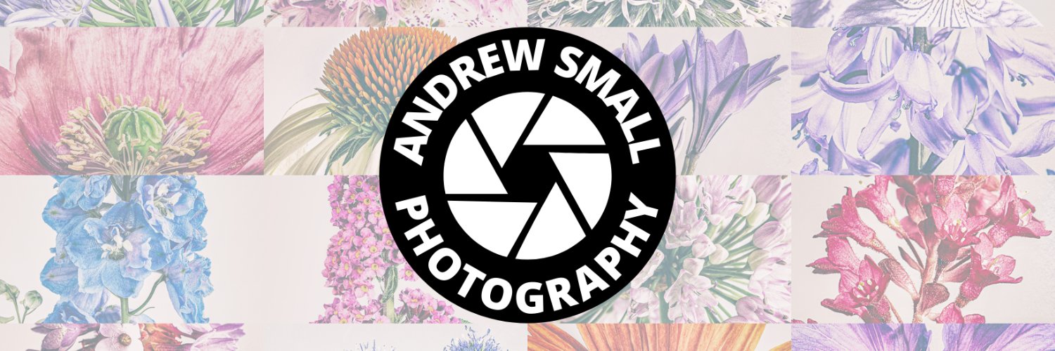 andsmall's profile banner image