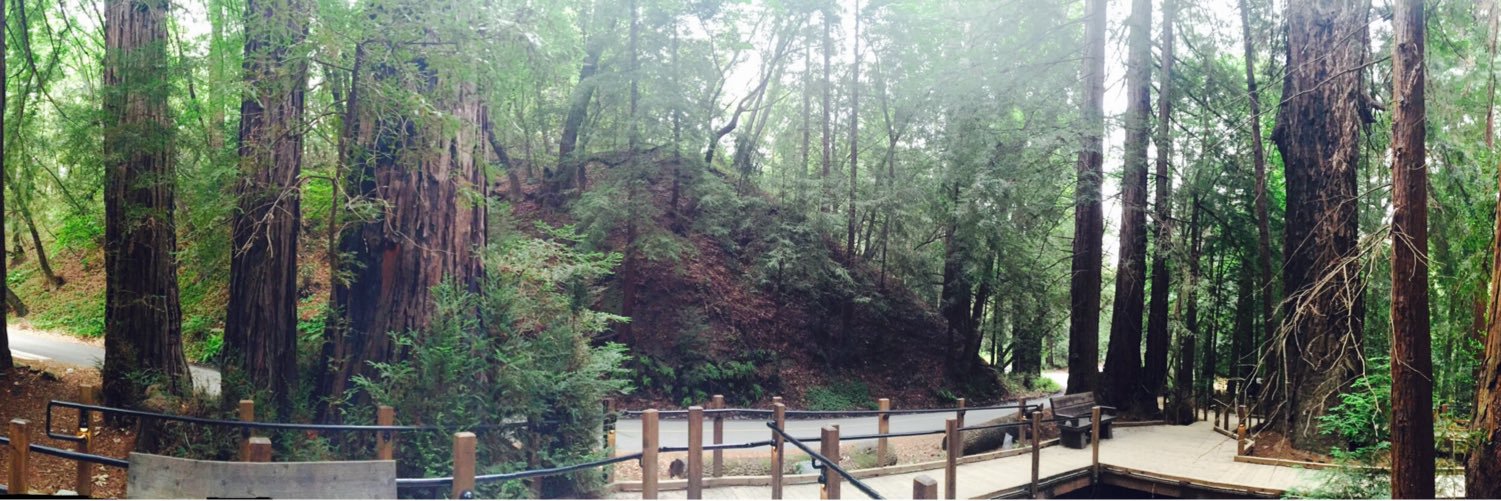 Edu Del Signore banner