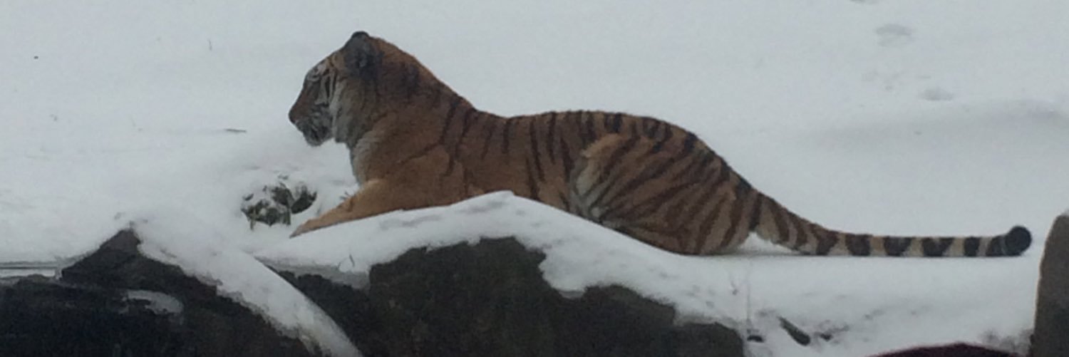 pharmapain91's profile banner image