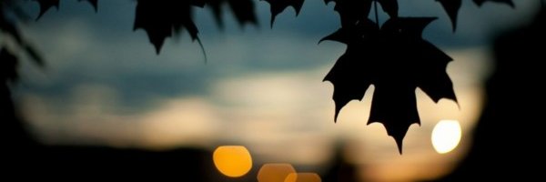 victortlaxca's profile banner image