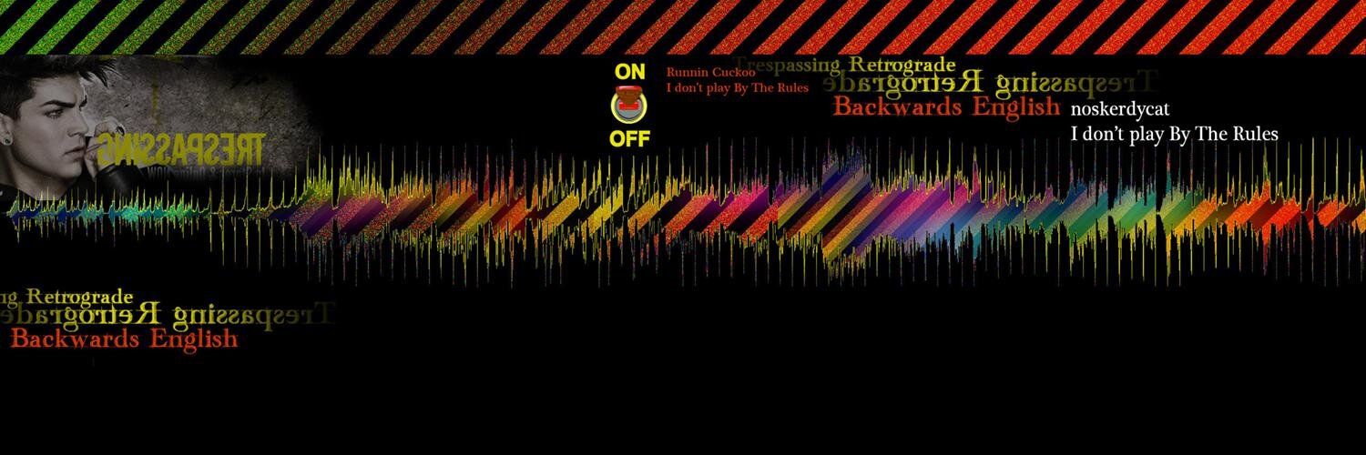 noskerdycat's profile banner image