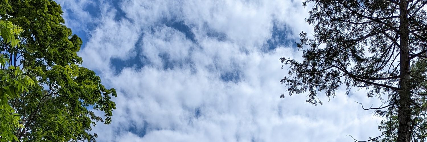 scarfacesquidis's profile banner image