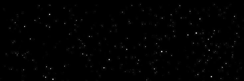 efsun_ecevit's profile banner image
