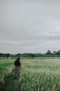 ElvisDazougou's profile banner image