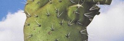 iChuso's profile banner image