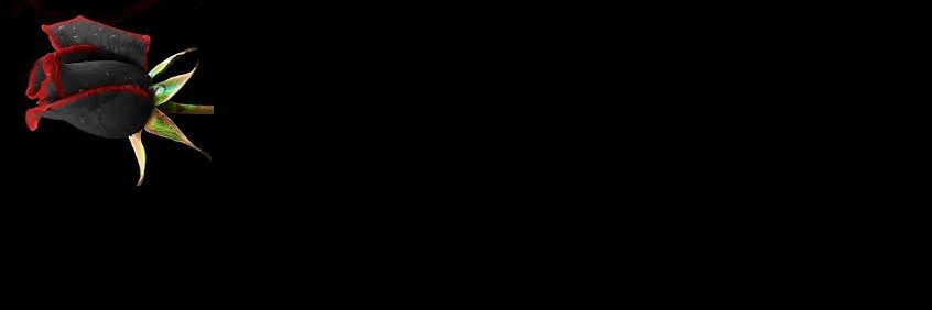 DisneysHitMan's profile banner image