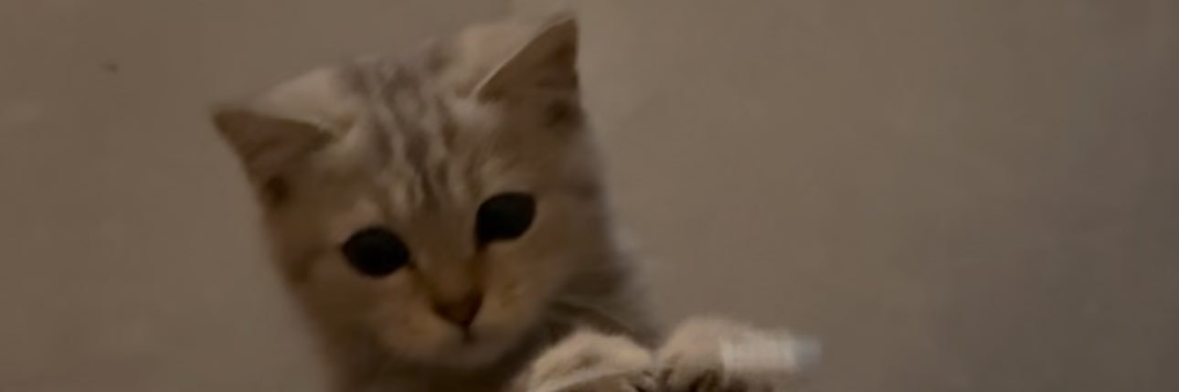 deee36_'s profile banner image