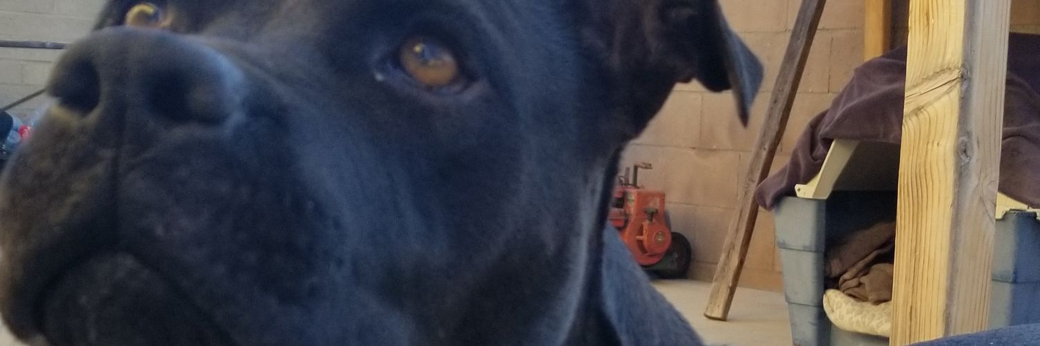_lalaaaaa's profile banner image